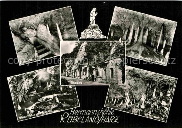 Hoehlen Caves Grottes Hermannshöhle Rübeland Märchenwald Bäre