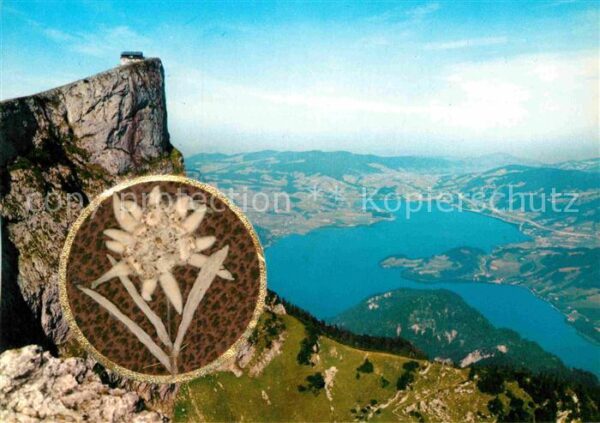 Edelweiss Schafberggipfel Berghotel Mondsee