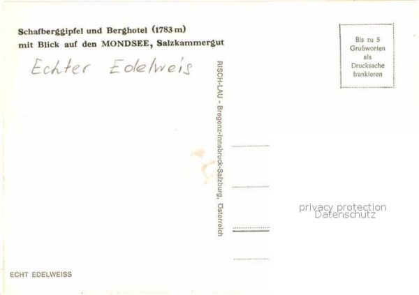 Edelweiss Schafberggipfel Berghotel Mondsee – Bild 2