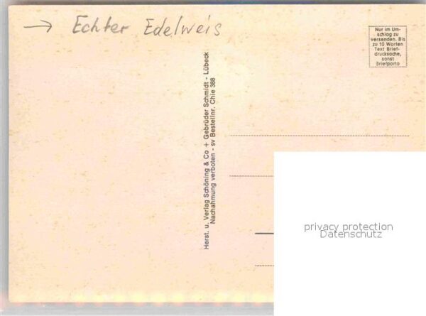 Edelweiss Chiemsee Fraueninsel Schloss Herrenchie – Bild 2