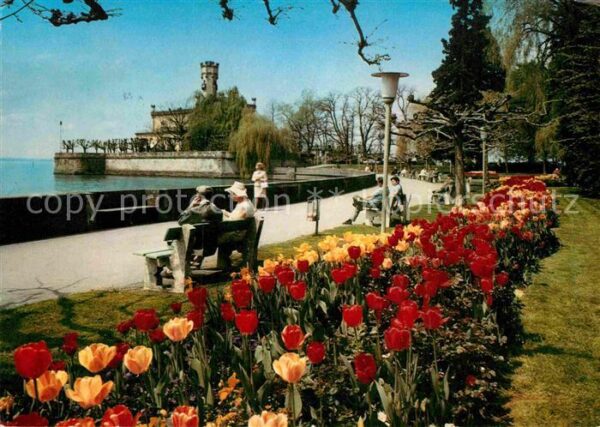 Langenargen Bodensee Seepromenade Schloss Montfort Tulpenbee
