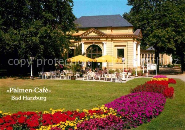 Bad Harzburg Palmencafe in der Trinkhalle und Wandel