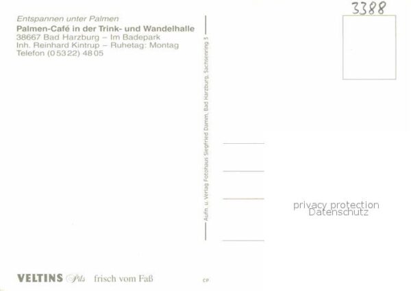 Bad Harzburg Palmencafe in der Trinkhalle und Wandel – Bild 2