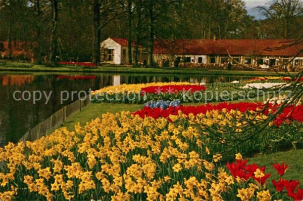 Lisse Keukenhof Blumenbeet