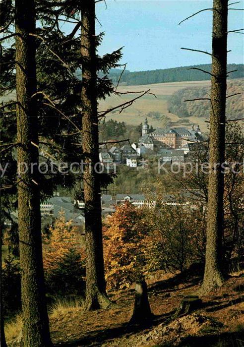 Bad Berleburg Durchblick vom Waldrand auf das Schloss