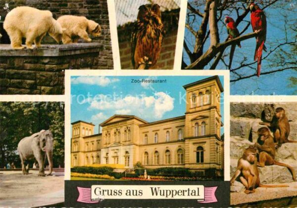 Wuppertal Zoo Bären Elefant Eule Papagei Affen Re
