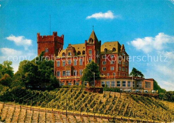Bingen Rhein Burg Klopp Weinberge