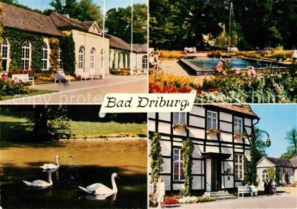 Bad Driburg Kurhaus Schwanenteich Park Teich Fachwe