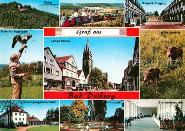Bad Driburg Iburg Adler Vogelpark Kuranstalt Kurpar