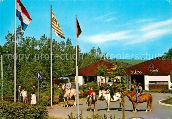 Stadtkyll Ferienpark Wirfttal Pferdesport Reiten
