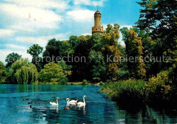 Bad Homburg Schlossweiher mit Weissem Turm Schwäne
