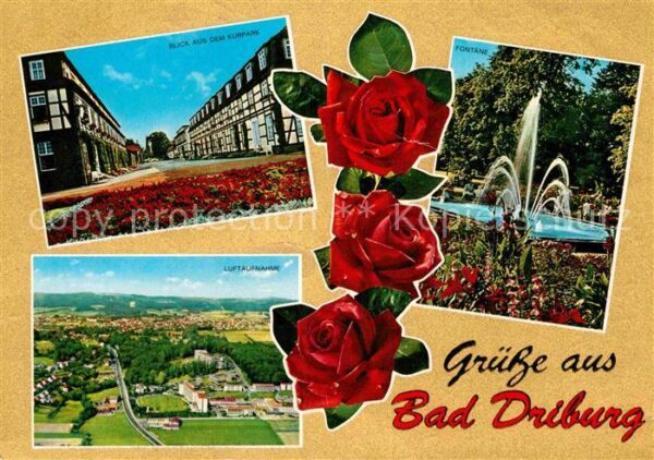 Bad Driburg Blick aus dem Kurpark Fontäne Rosen Fli