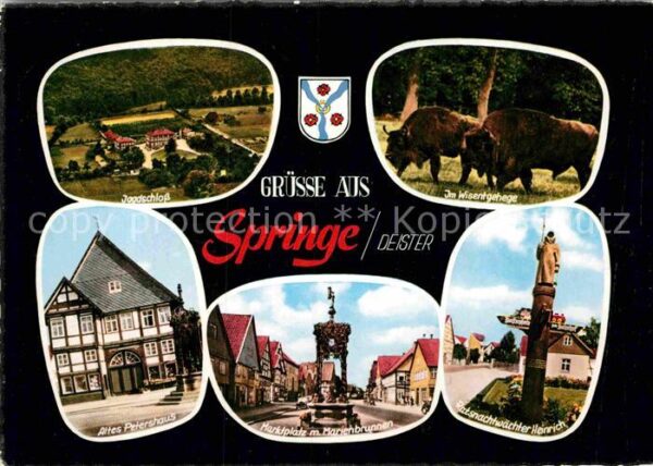 Springe Deister Jagdschloss Wisentgehege Altes Petersha