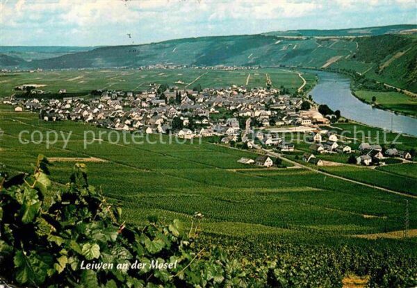 Leiwen Mosel Fliegeraufnahme