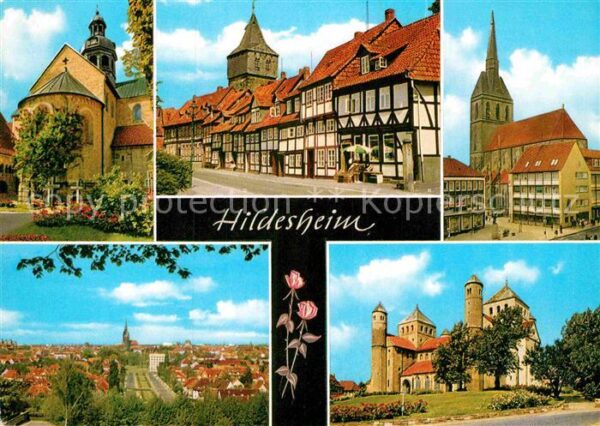 Hildesheim 1000jähriger Rosenstock Stadtblick vom