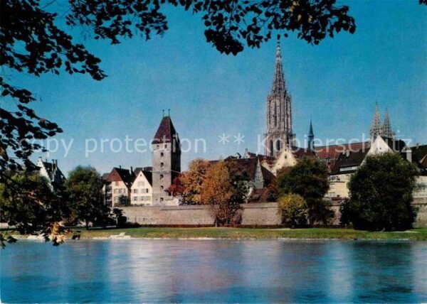 Ulm Donau Münster