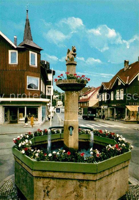 Braunlage Am Brunnen