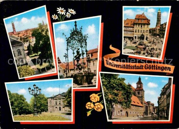 Goettingen Niedersachsen Auditorium und Jakobikirche Markt Gänse