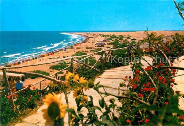 Playa del Ingles Panorama