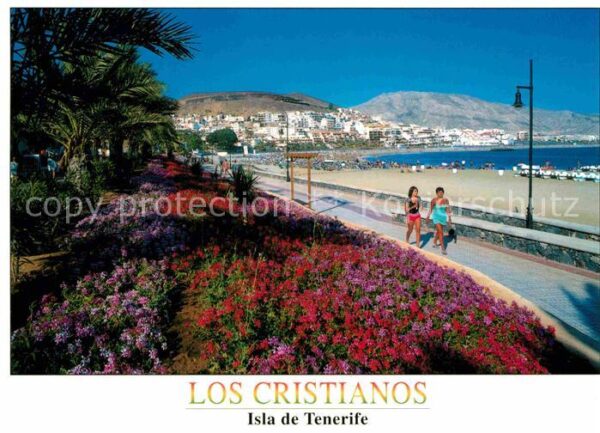 Los Cristianos Panorama