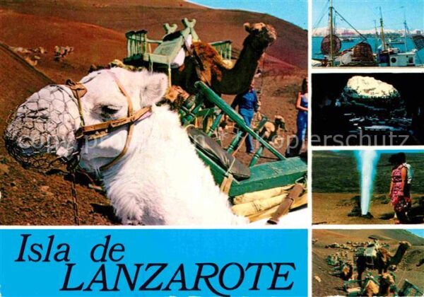 Lanzarote Kanarische Inseln Kamele Hafenpartie Grotte