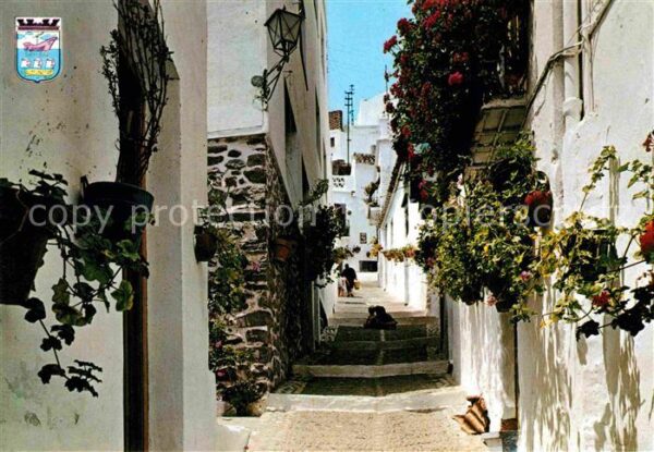 Granada Andalucia Calle tipica