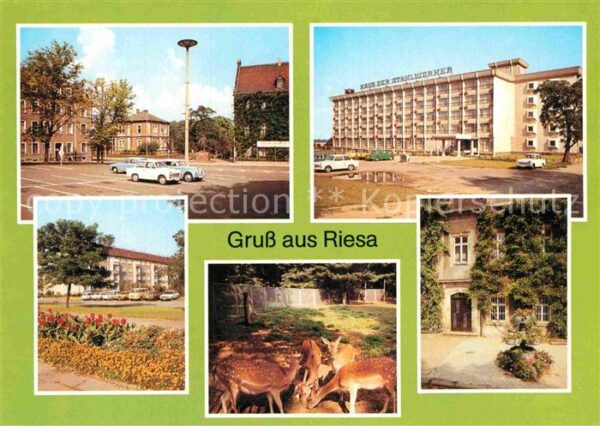 Riesa Sachsen Haus der Stahlwerke Wild Tierpark Greif