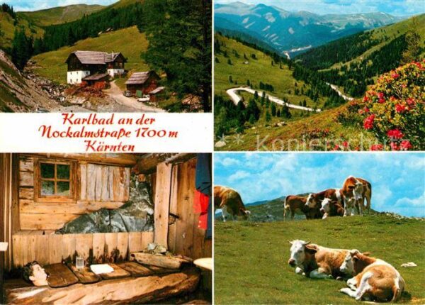 Radenthein An Nochalmstrasse Kühe Gasthaus und Hei