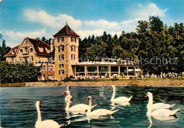 Ueberlingen Bodensee Seepartie Kurgarten Schwäne