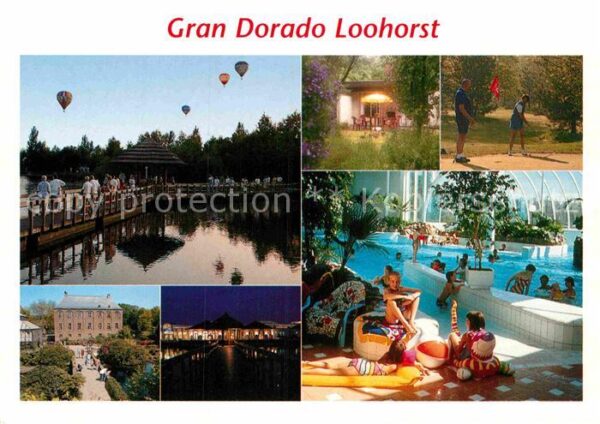 Hertogenbosch Gran Dorado Loohorst