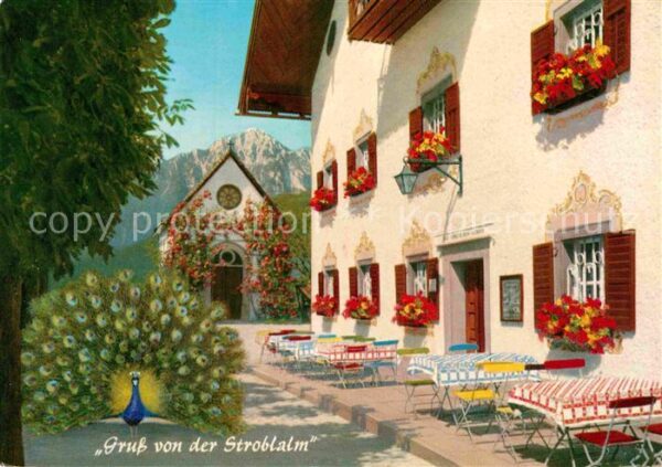 Anger Chiemgau Stroblalm am Högl mit Hochstaufen