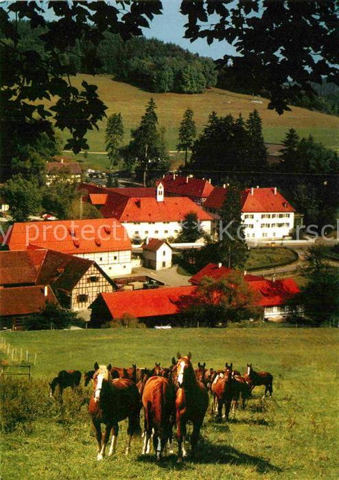 Marbach Reutlingen Haupt- und Landgestüt Marbach Gomadinge