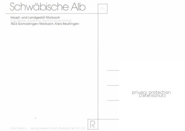 Marbach Reutlingen Haupt- und Landgestüt Marbach Gomadinge – Bild 2