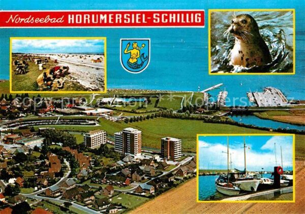 Schillig Horumersiel Robbe Fliegeraufnahme Stran