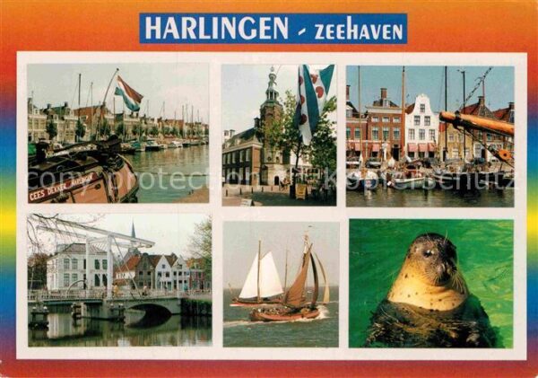 Harlingen Friesland Zeehaven Seelöwe