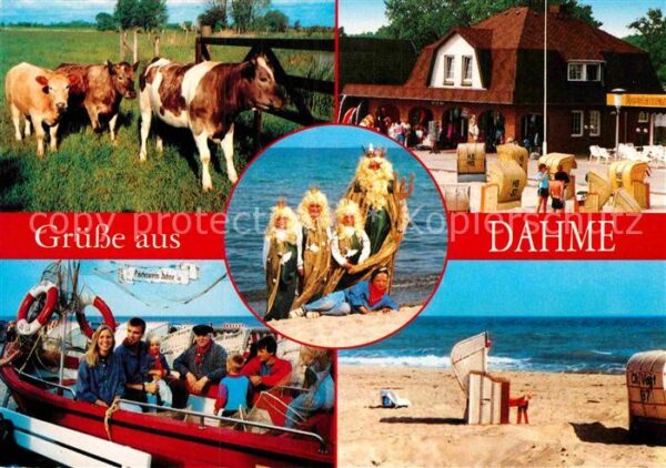 Dahme Ostseebad Kühe Strand Rudolf Höppner