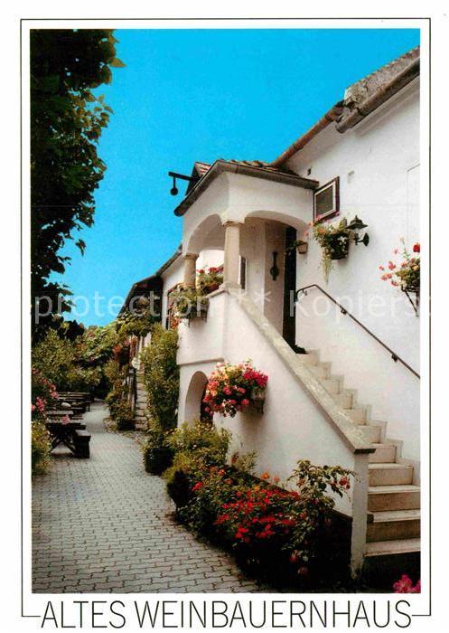 Rust Burgenland Altes Weinbauernhaus Weingut Buschensch