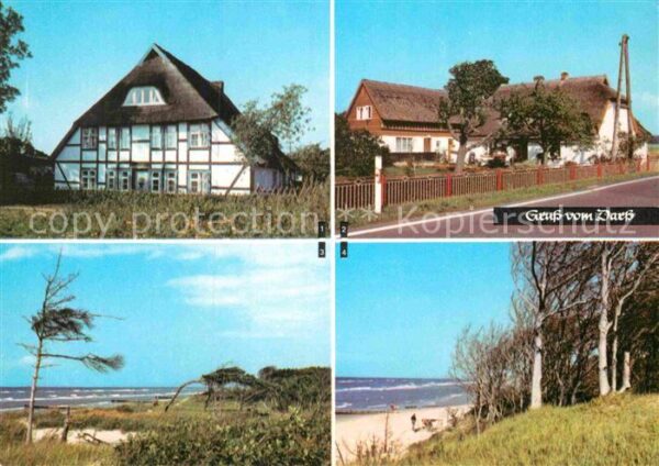 Wieck Darss Born Weststrand