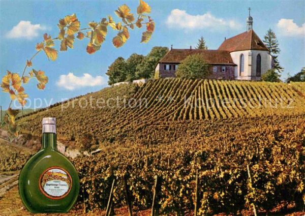 Volkach Vogelsburg Gemeinschaftsort der Augusti