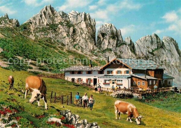 Kampenwand Chiemgau Steinlingalm Kühe
