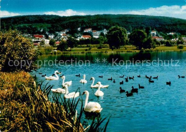 Bad Koenig Odenwald Kurpark See Schwäne Enten