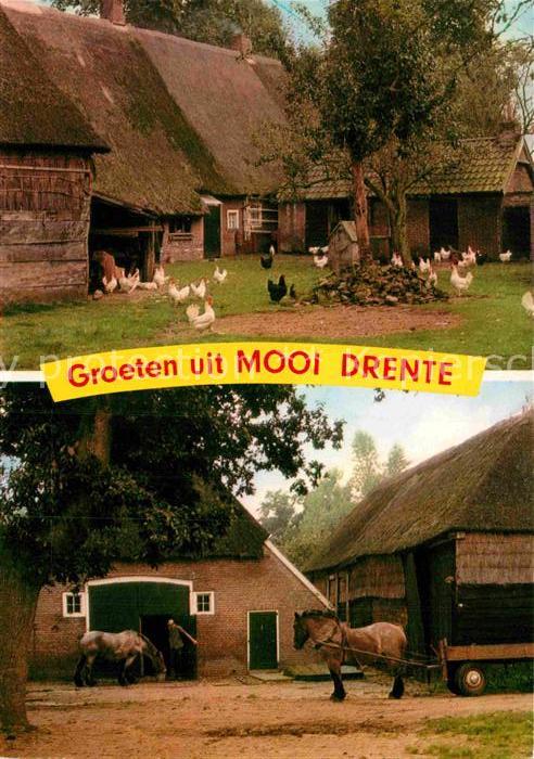 Drente Altes Bauernhaus Pferdewagen