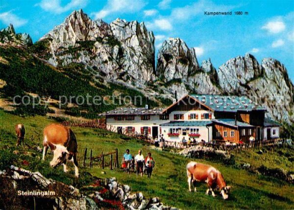 Kampenwand Chiemgau Chiemsee Steinlingalm mit Kühen