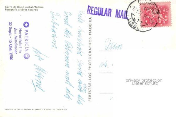 Funchal Carro de Bois Ochsenkarren – Bild 2