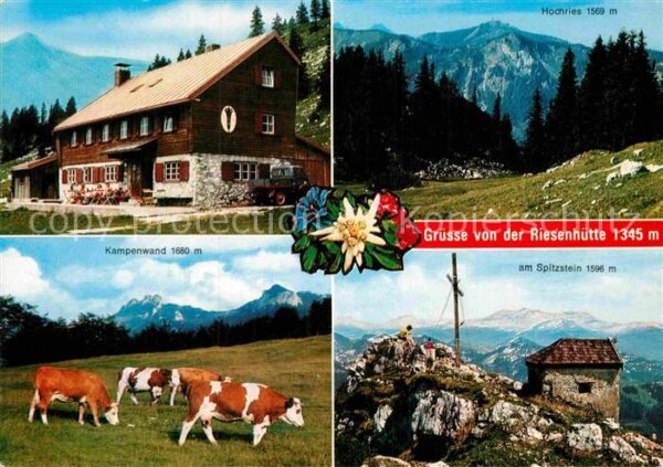 Aschau Chiemgau Riesenhütte am Hochries Kühe