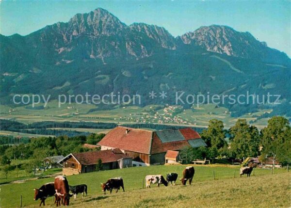 Anger Chiemgau Strobl Alm am Högel mit Hochstaufen Zwi