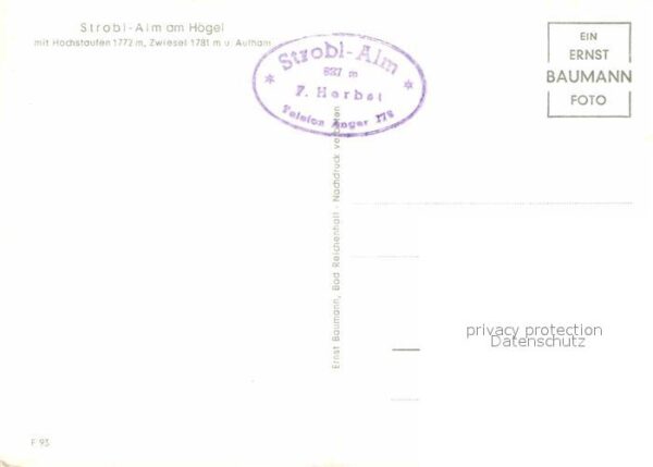 Anger Chiemgau Strobl Alm am Högel mit Hochstaufen Zwi – Bild 2