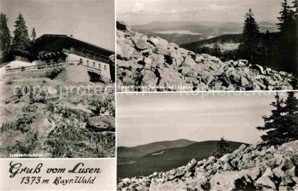 Lusen Bayerischer Wald Lusenschutzhaus Sudetenlandblick