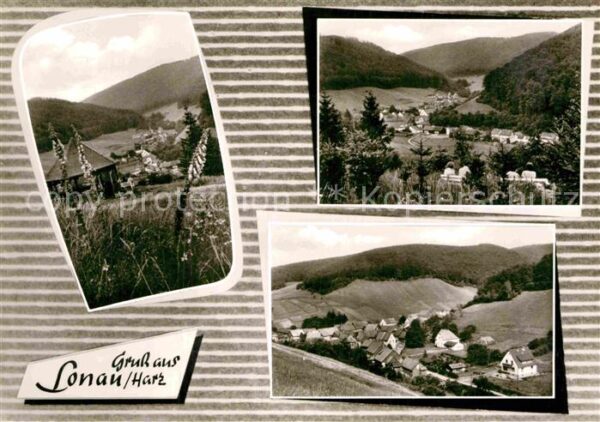 Lonau Panorama