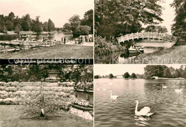 Woerlitz Landschaftspark Brückchen Pfau Schwäne